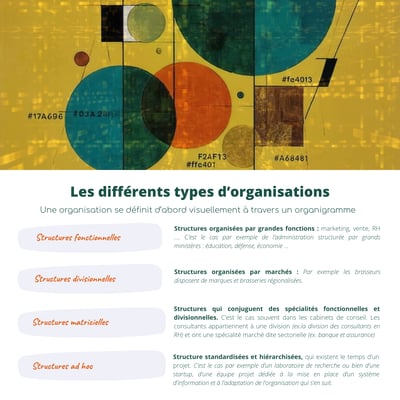 Quels sont les différents types d'organisation ?